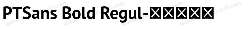 PTSans Bold Regul字体转换